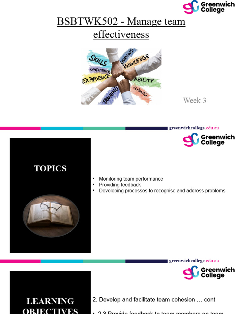 Manage Team Effectiveness Strategies | PDF | Brainstorming | Learning