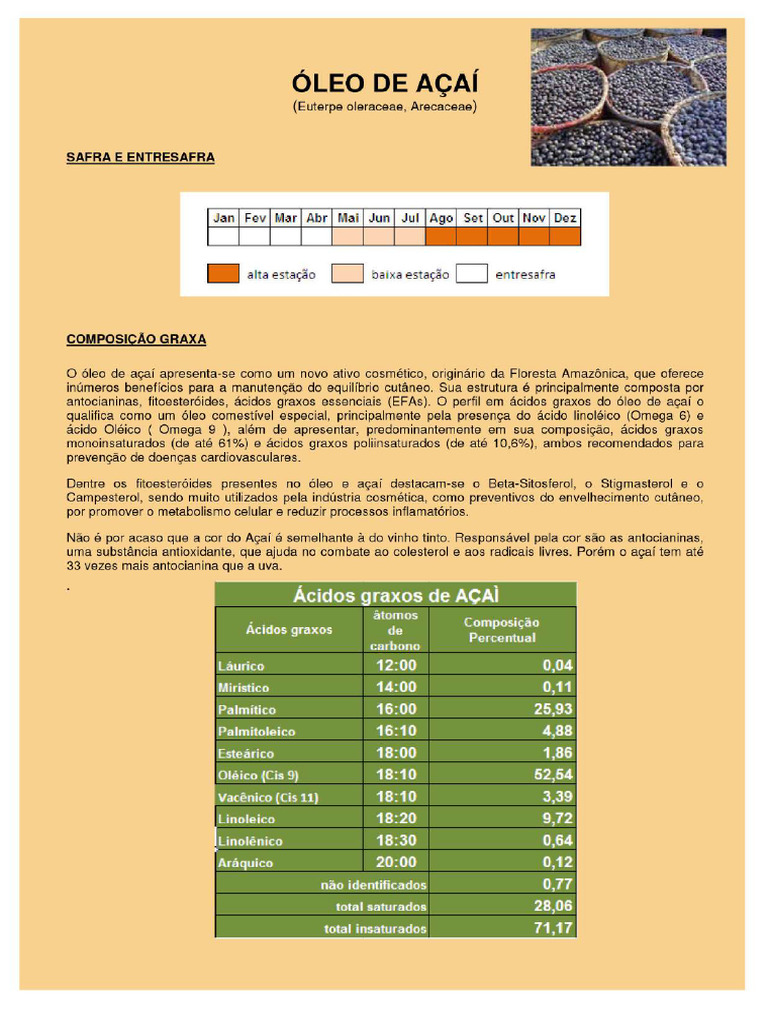  leo de a ai literatura pdf