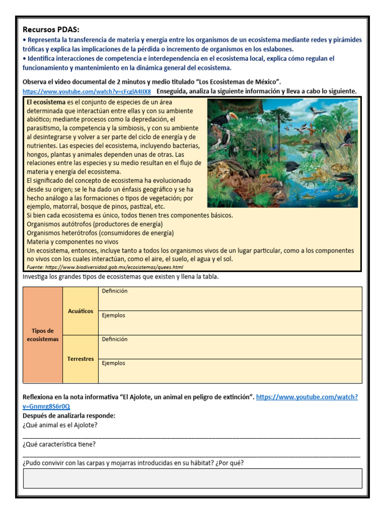 Cuadernillo | PDF | Ecosistema | Organismos