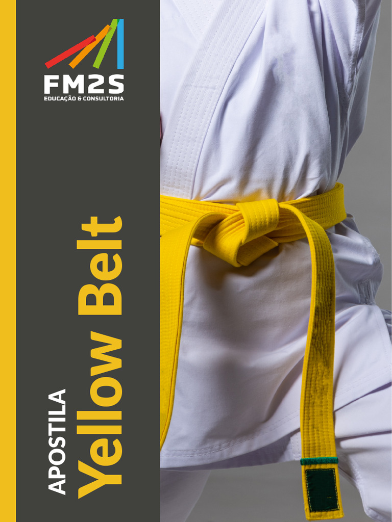 Curso de Certificação Yellow Belt | PDF | Seis Sigma | Fabricação enxuta
