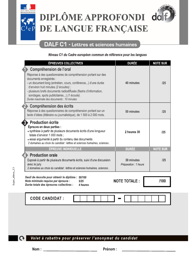 DALF - HSS Writing Test | PDF