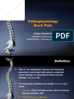 Back Pain Pathophysiology