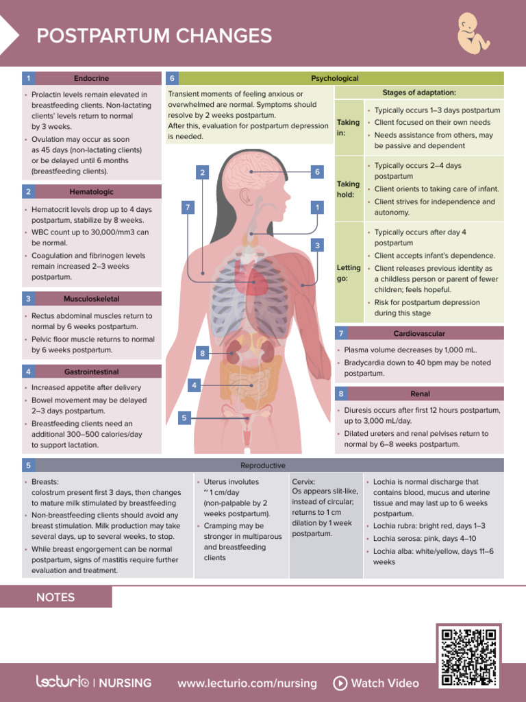 Nursing CS Postpartum-Changess 01 | PDF | Postpartum Period | Breastfeeding