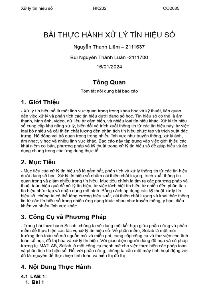 Report Structure Pdf