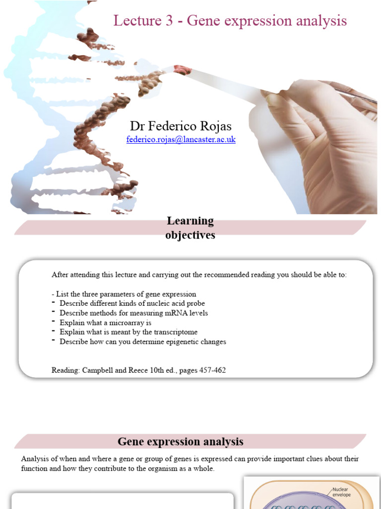 Lecture 3 - Gene Expression Analysis | PDF | Complementary Dna | Dna ...