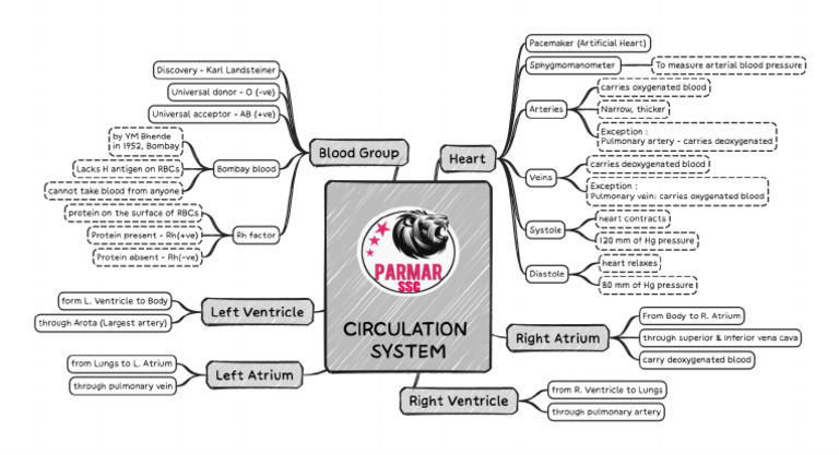 Circulation System Printable FRB | PDF