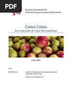 Camu Camu - Desarrollo Del Mercado Local. Parte 1