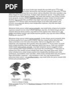Download Spesiasi Adalah Proses Suatu Spesies Berdivergen Menjadi Dua Atau Lebih Spesies by Amee Marakas SN74070856 doc pdf