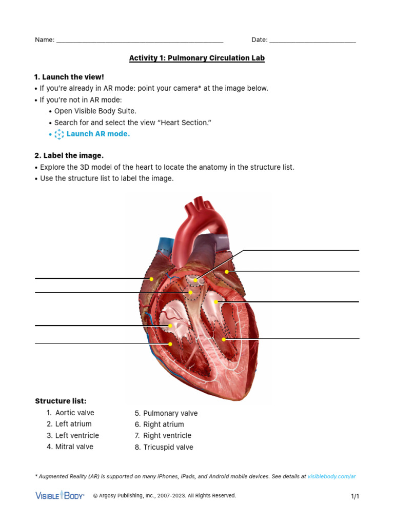 Lab manual pulmonary english student fill in pdf heart valve
