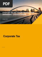 Transfer Pricing Local File Template | PDF | Business Economics ...