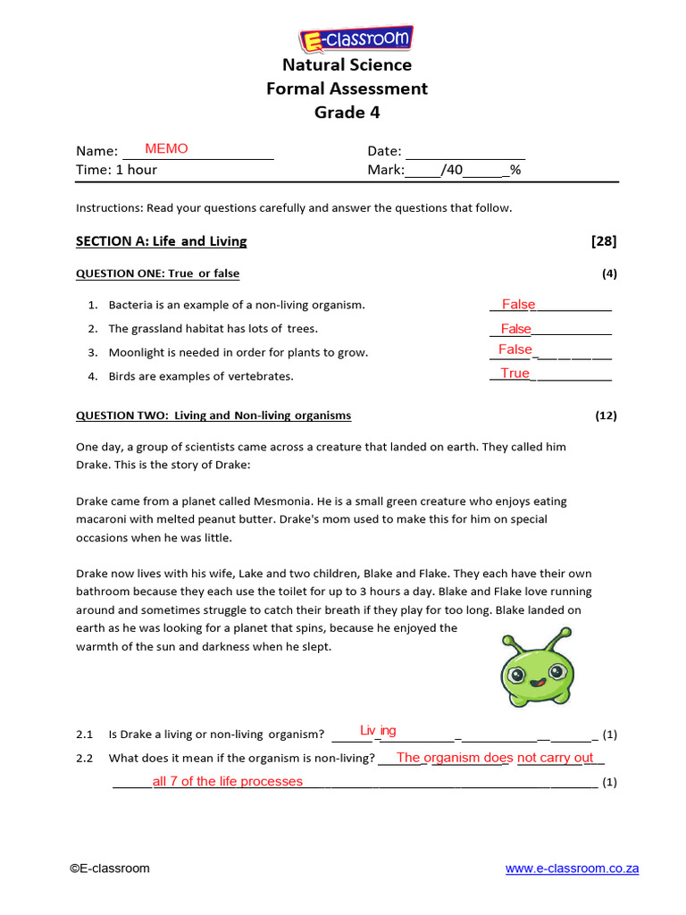 Gr04 Nst Term2 Pack01 Practice Paper Memo Pdf Plants Foods