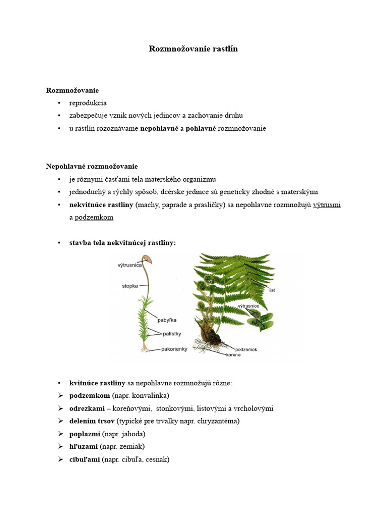Rozmnožovanie Rastlín | PDF