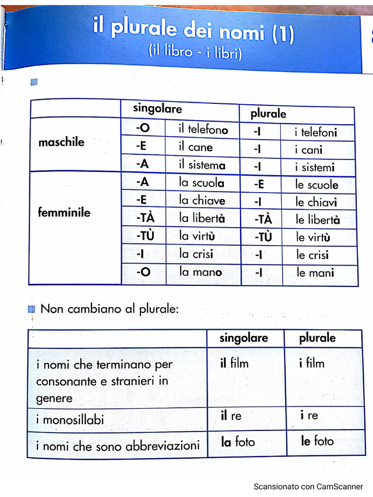 Plurale Dei Nomi In Italiano: Plurale Dei Nomi Italiani – CSKOQ