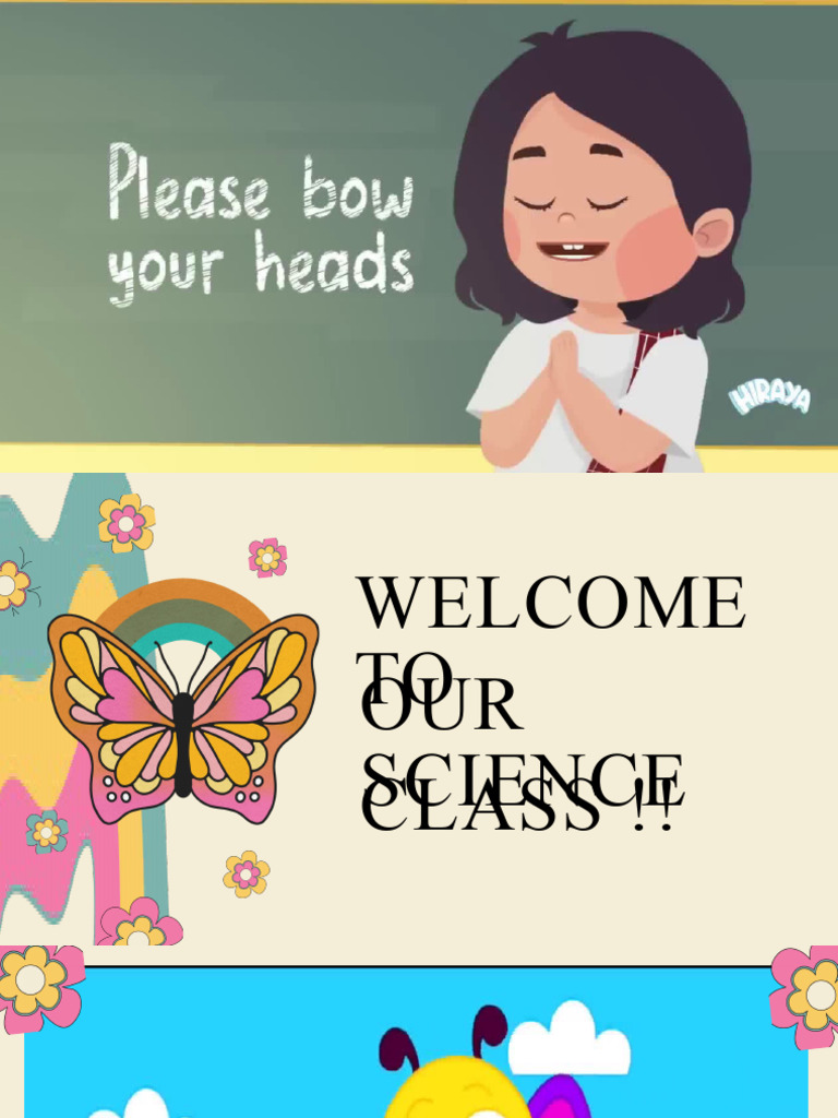 butterfly-butterfly | PDF