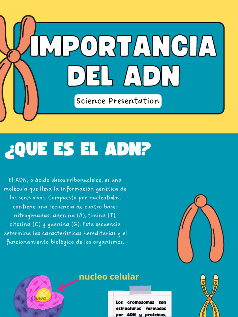 IMPORTANCIA DEL ADN | PDF | Adn | Genética
