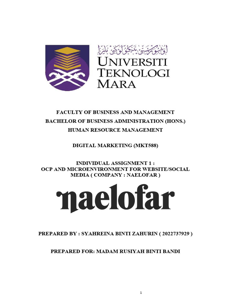 MKT558 Invidual Assignment | PDF | Fashion | Brand