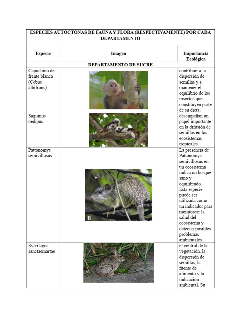 Especies Autóctonas de Fauna y Flora en Colombia | PDF | Nutria
