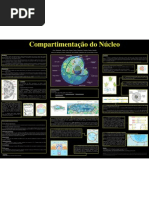 compartmentacaonucleo