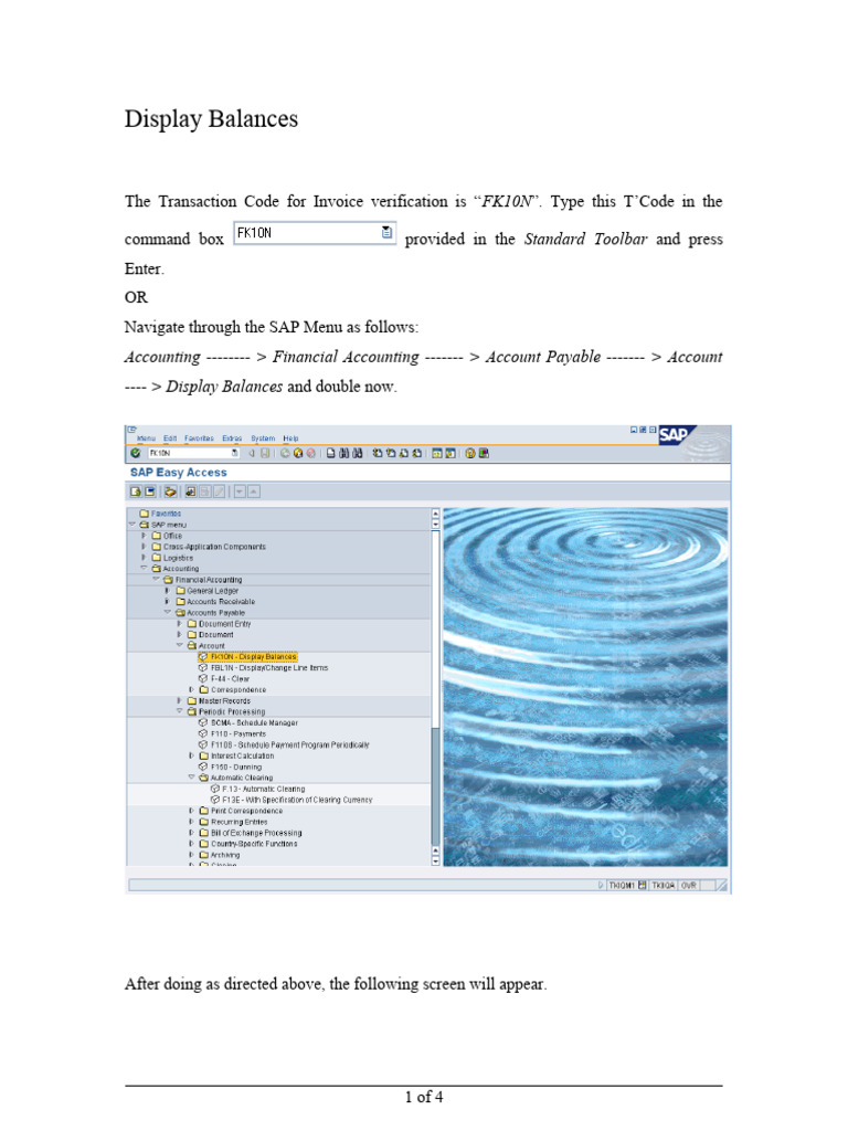 FK10N: Display Vendor Balances in SAP | PDF