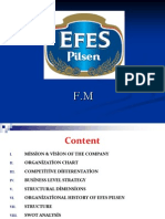 Efes Pilsen Organizational Structure and History