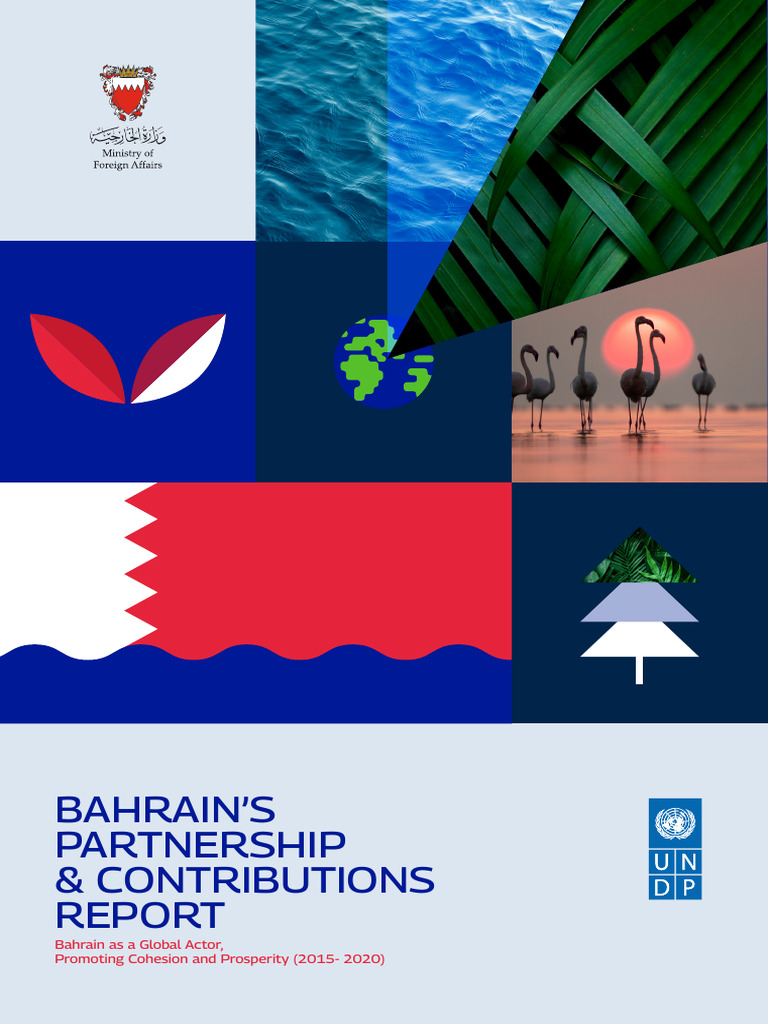 Undp 01 | PDF | Social Science