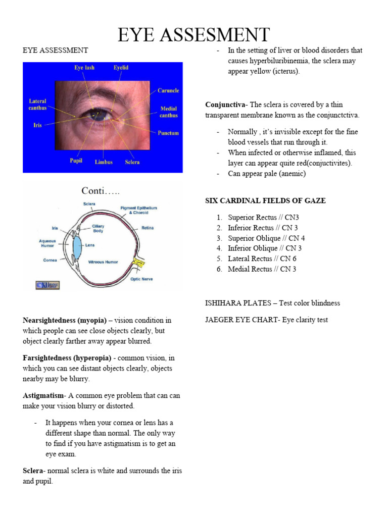 Comprehensive Eye Assessment Guide | PDF
