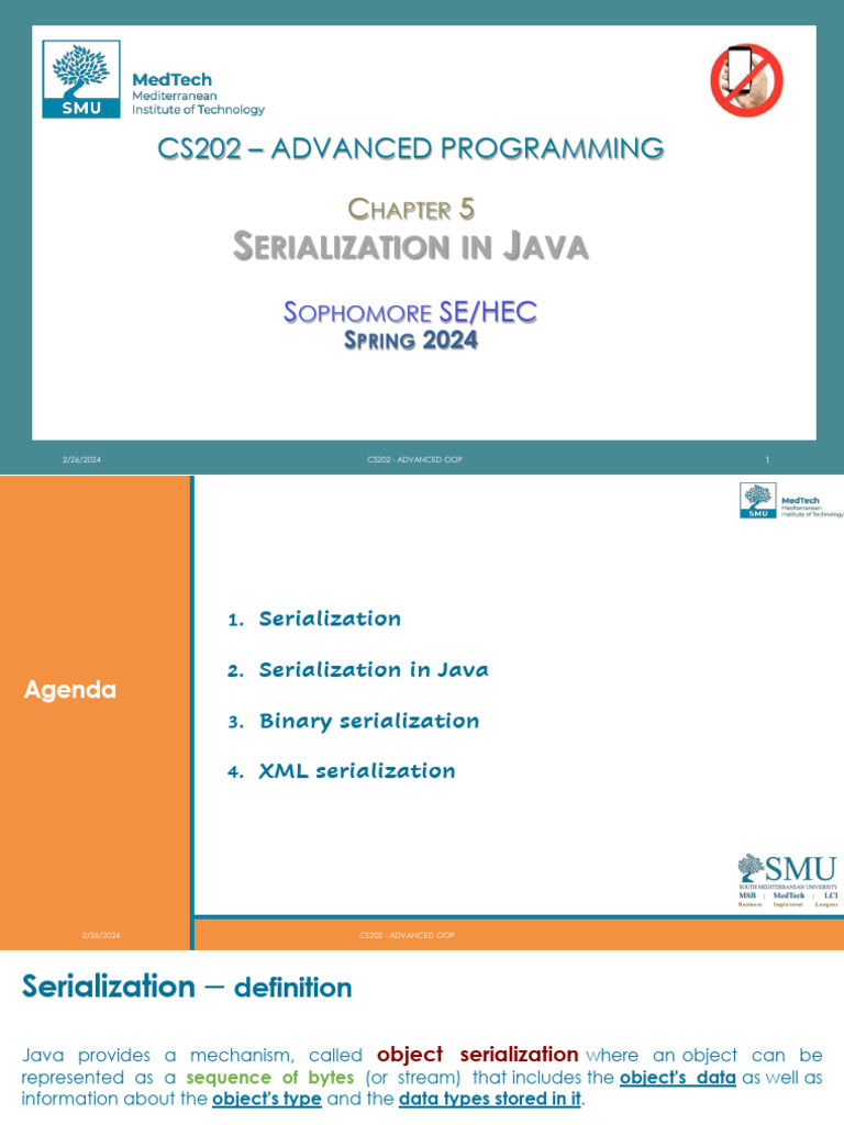 CS202 - Chapter 6 - Serialization | PDF | Inheritance (Object Oriented ...