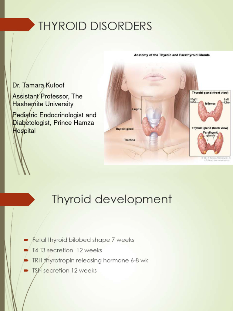 Understanding Thyroid Disorders in Pediatrics | PDF | Hypothyroidism ...