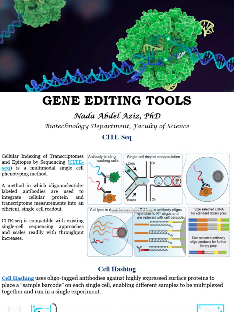Lec 2 Gene Editing Tools Part 1 | PDF | Crispr | Regulation Of Gene ...