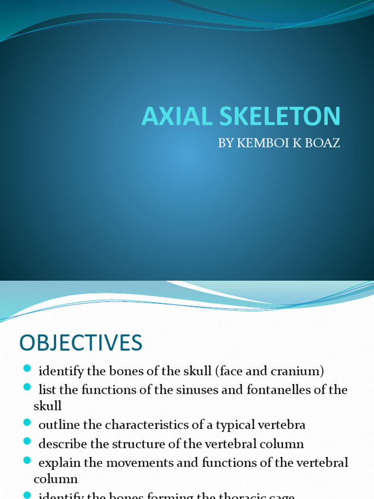 Axial Skeleton: Structure & Functions | PDF | Vertebra | Vertebral Column