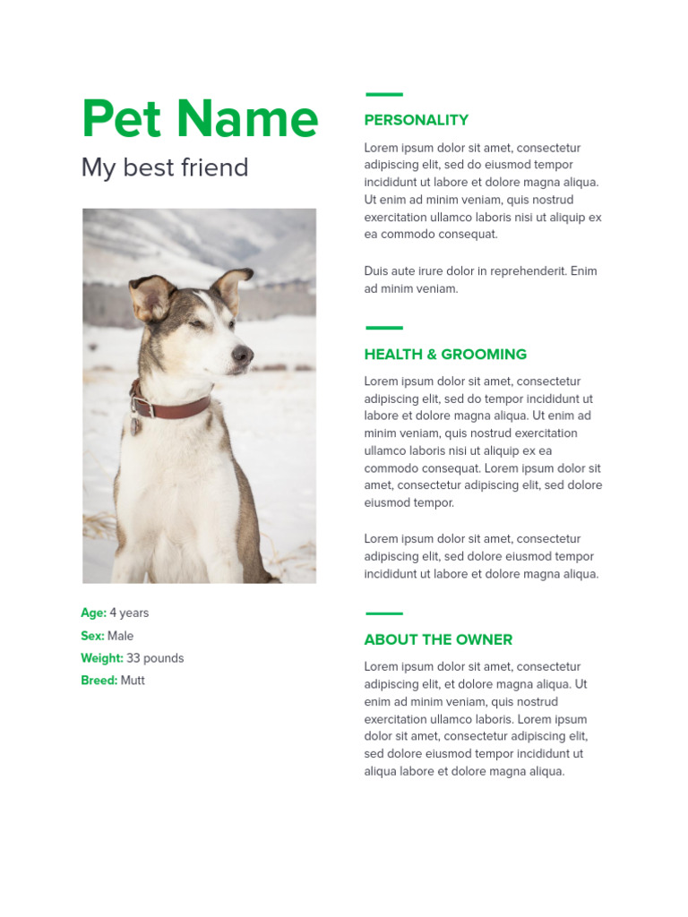 pet-resume-pdf
