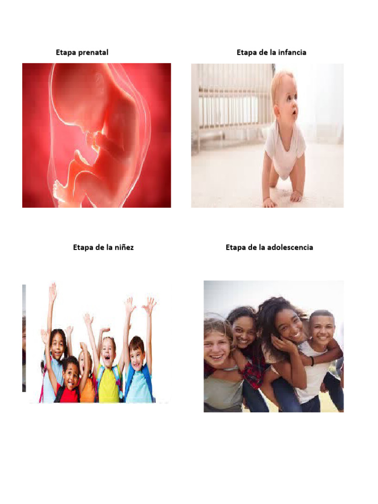 etapa-prenataletapa-de-la-infancia-pdf