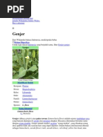 Download ttt by ibagasmarsyayudha SN74097367 doc pdf