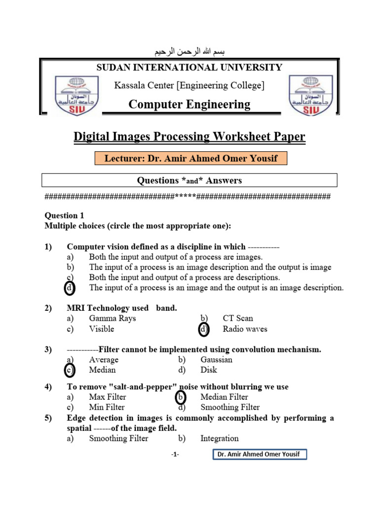 Digital Image Processing Worksheet | PDF | Rgb Color Model | Vision