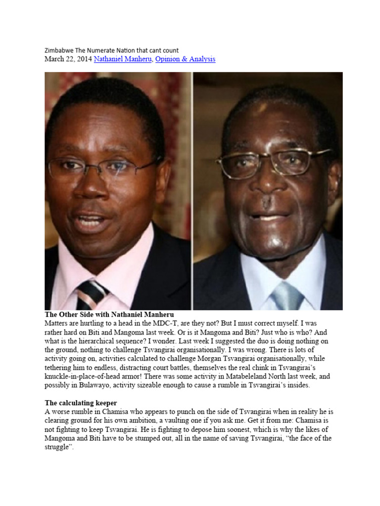 Zimbabwe the numerate nation that cant count manheru pdf zimbabwe