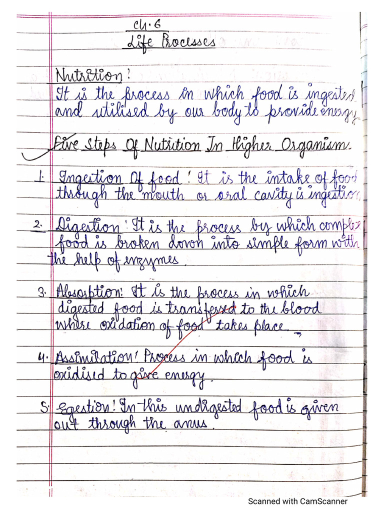 10 Bio Notes Extra Life Process | PDF