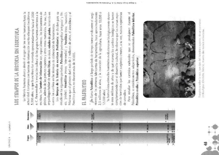 43 | PDF