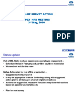 Gallup Action Plan For Apex HRD