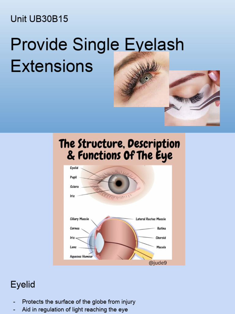 Eyelash intelligence overview