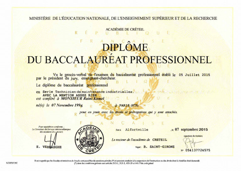 Diplôme Baccalauréat Professionnel 2015 | PDF | France
