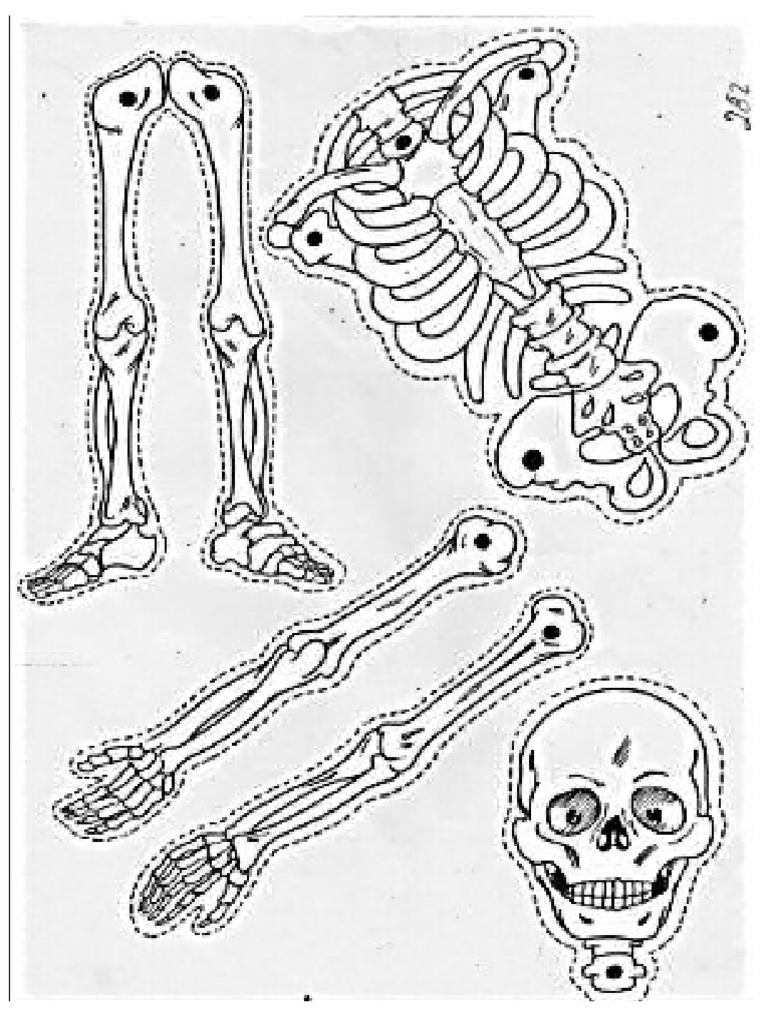 calavera-para-vestir-pdf
