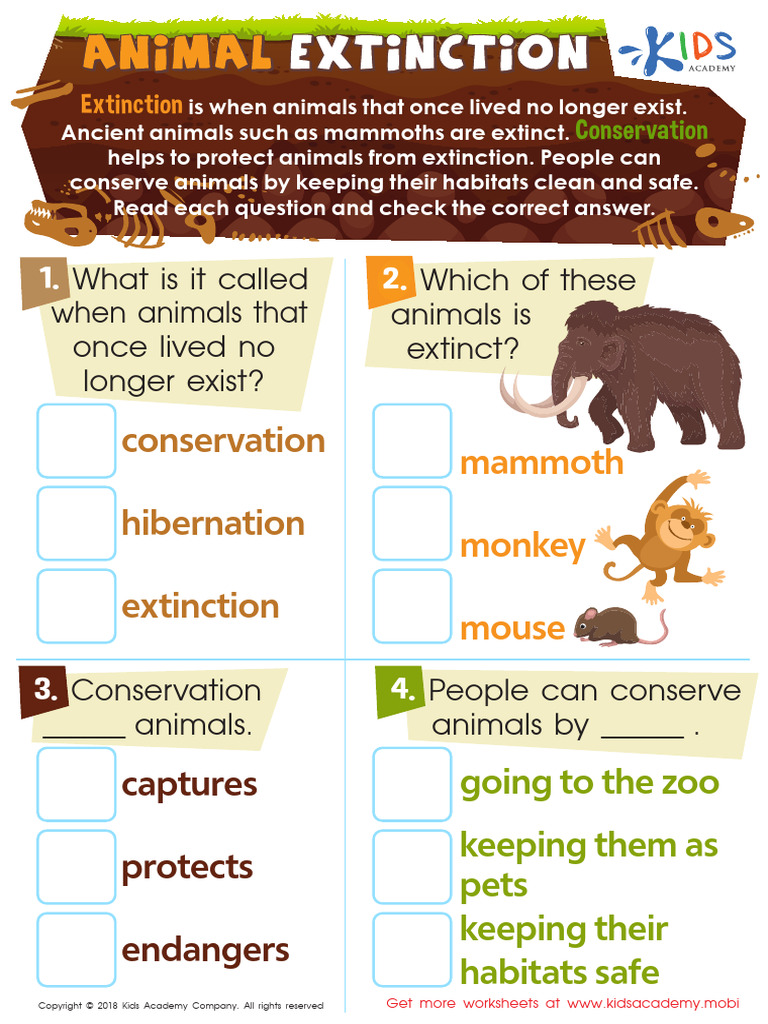 Grade 3 Animal Extinction Worksheet PDF