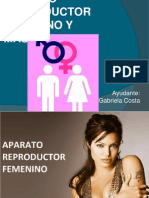 APARATO REPRODUCTOR