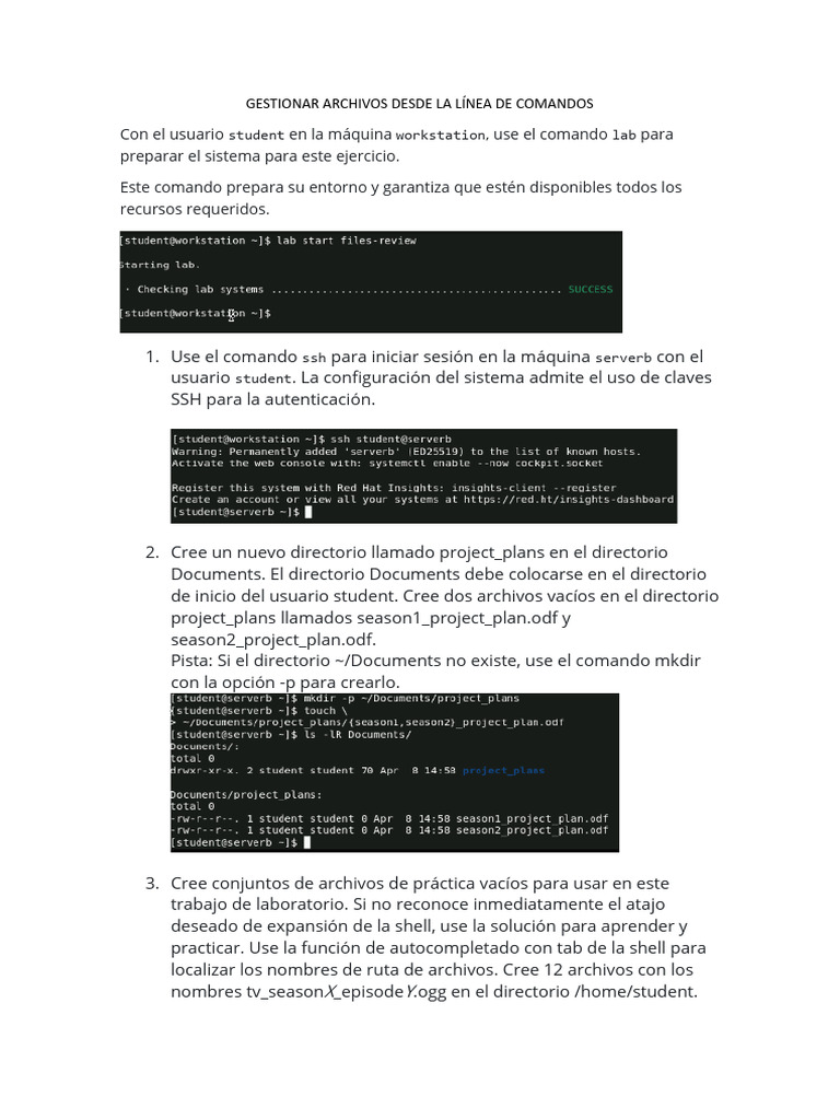 Gestión de Archivos en Línea de Comandos | PDF | Archivo de computadora ...