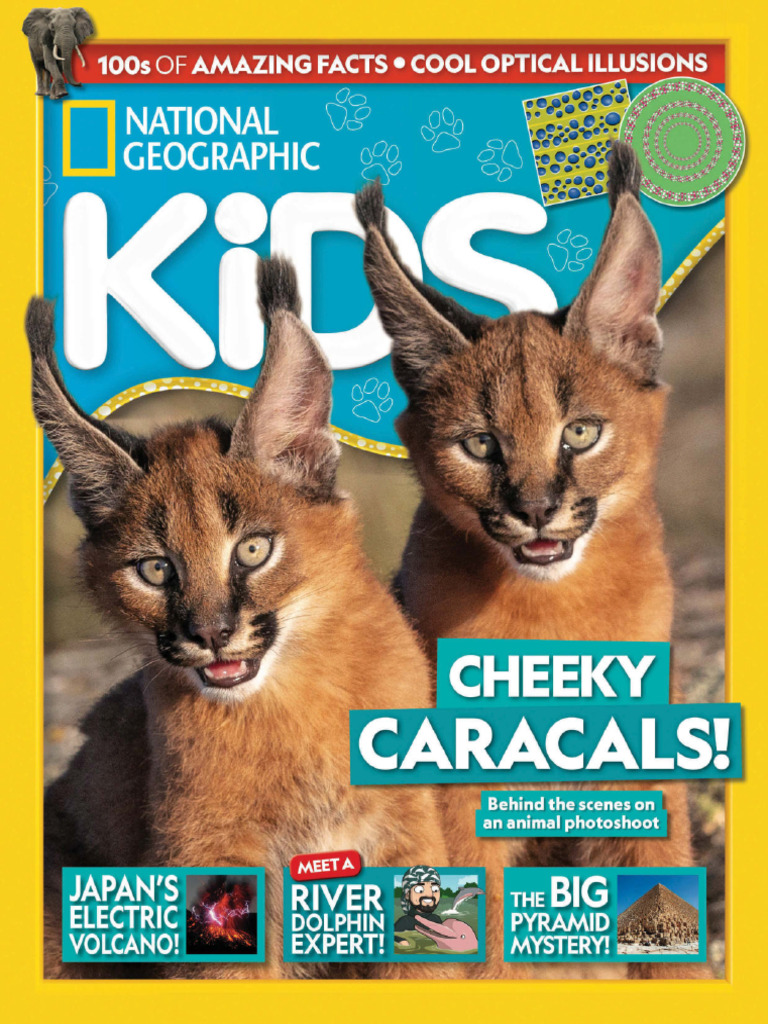 National geographic kids uk i228 2024 pdf bees gorilla