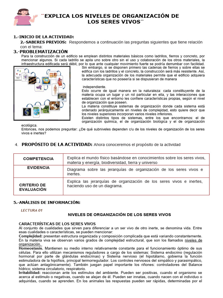 Ficha Cuarto Seres Vivos | PDF | Organismos | Biología Celular)