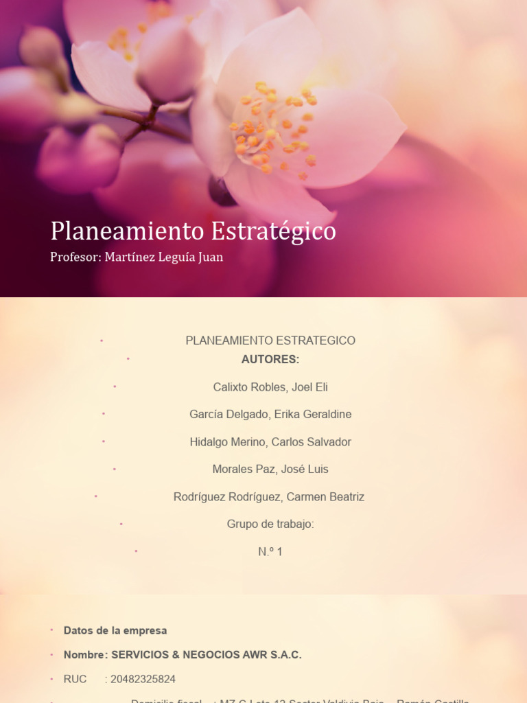 Planeamiento Estratégico Pdf Sistema De Manejo De Calidad Economias