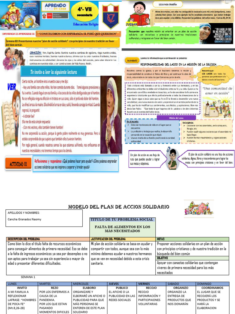 Plan Solidario Contra la Falta de Alimentos | PDF