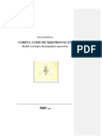 Nicolae PERPELEA - Corpul Comunicarii Provocat. Pragmatica Expresivista, 2002