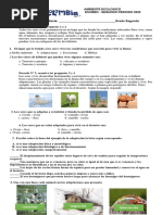 Examen Ciencias Segundo